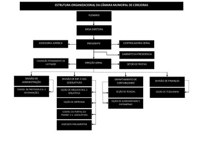 Estrutura organizacional da Câmara Municipal de Cerejeiras